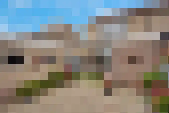 Zwanebloem 11 Elburg thumbnail 42