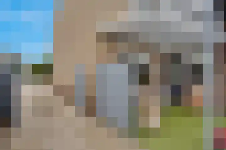 Zwanebloem 11 Elburg thumbnail 43