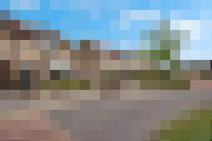 Zwanebloem 11 Elburg thumbnail 45
