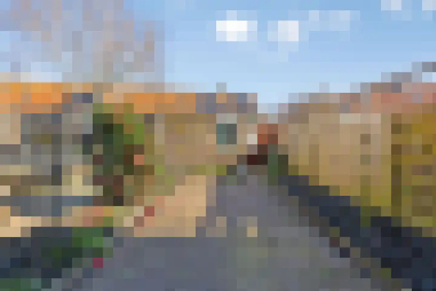 Zwanebloem 11 Naaldwijk thumbnail 10