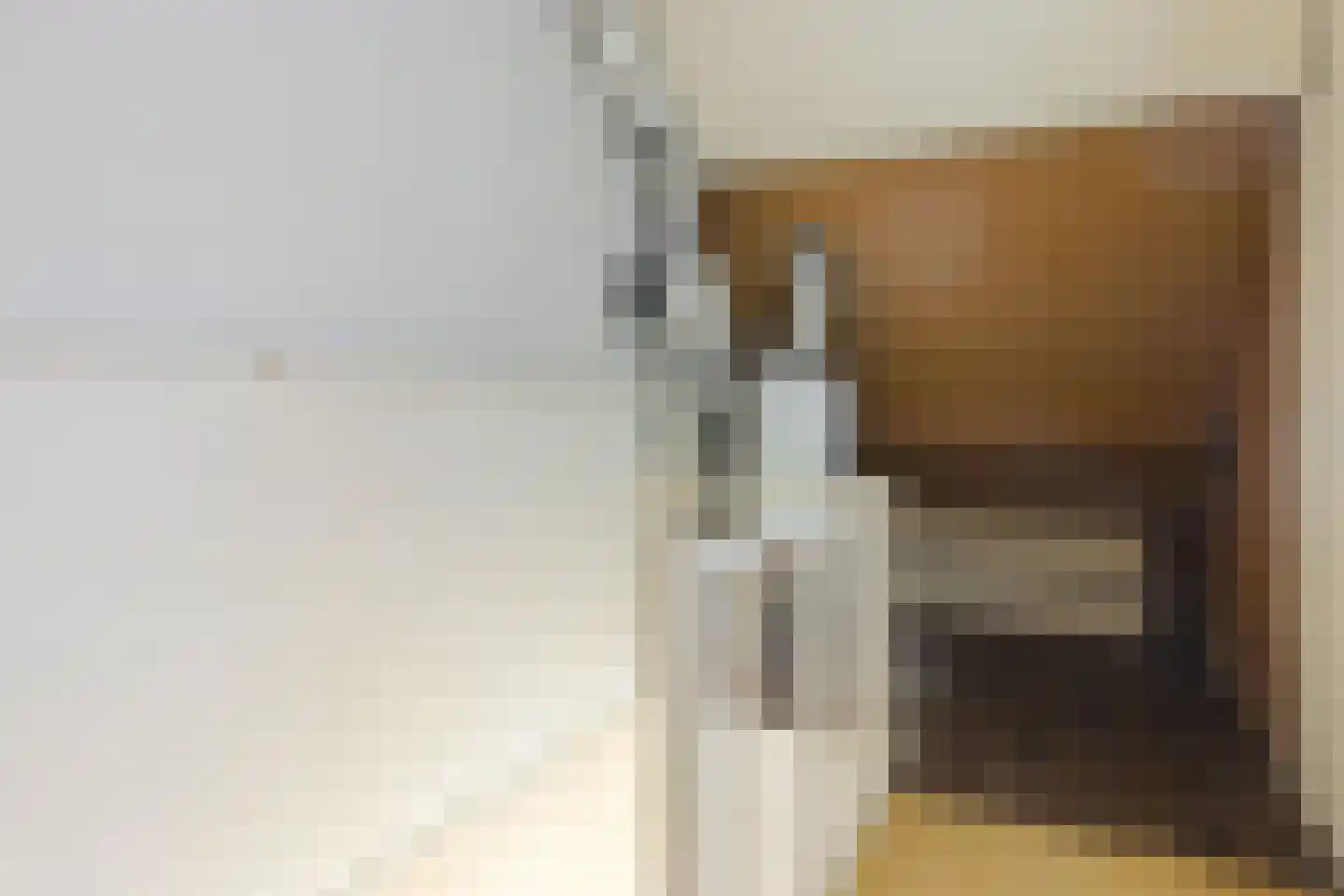 Zwanebloem 11 Naaldwijk thumbnail 18