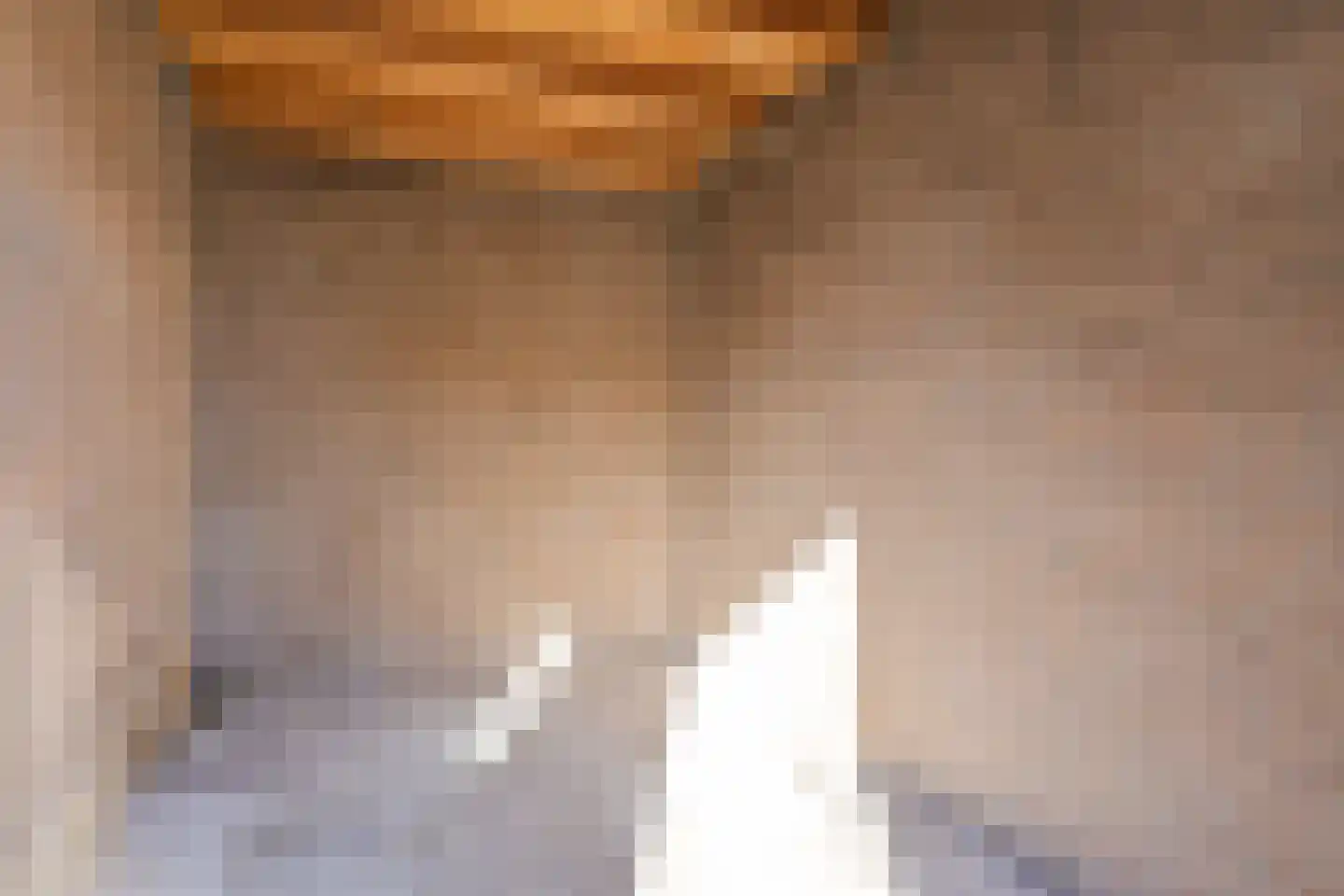Zwanebloem 11 Naaldwijk thumbnail 19