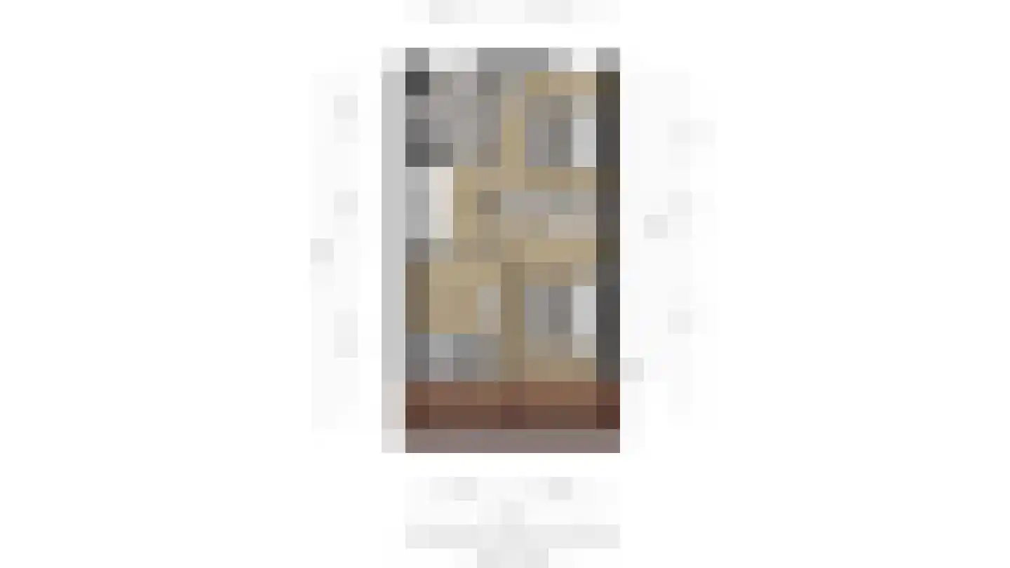 Zwanebloem 11 Naaldwijk thumbnail 32