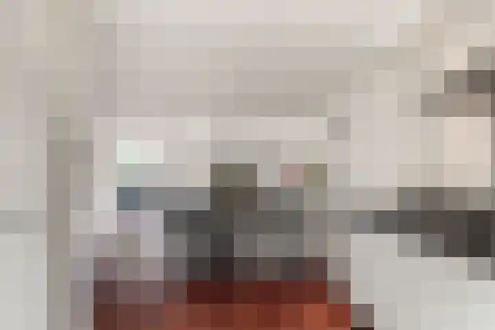 Zwanebloem 12 Limmen thumbnail 13