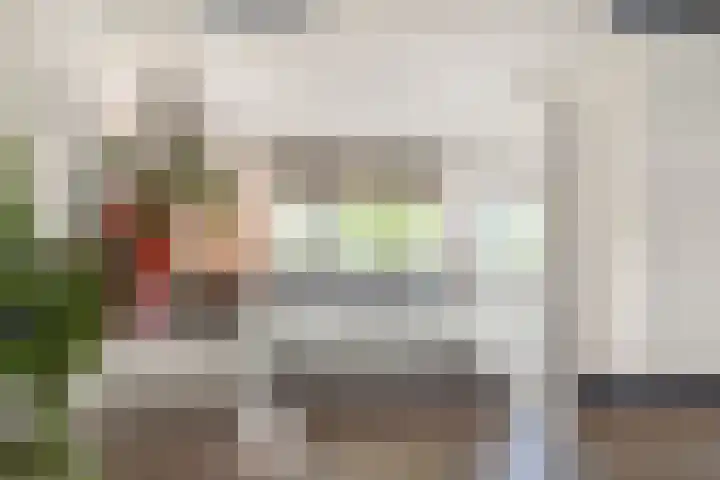 Zwanebloem 12 Limmen thumbnail 14