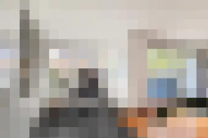 Zwanebloem 12 Limmen thumbnail 21