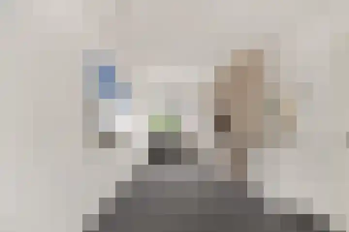 Zwanebloem 12 Limmen thumbnail 25