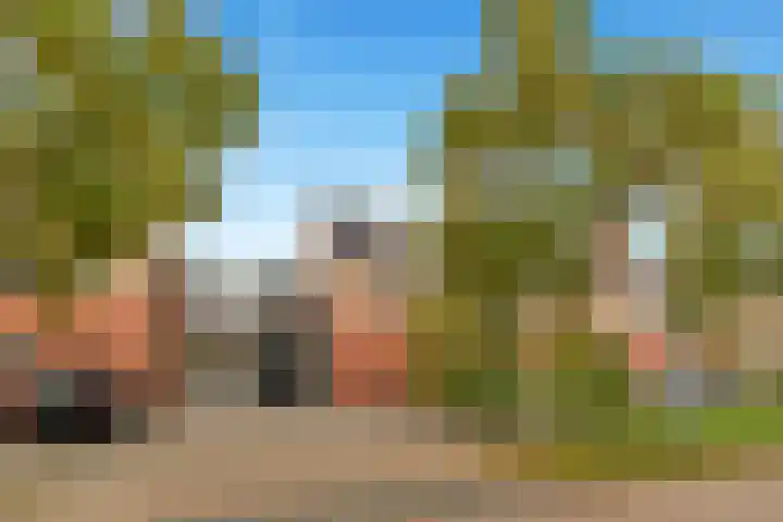 Zwanebloem 12 Limmen thumbnail 47