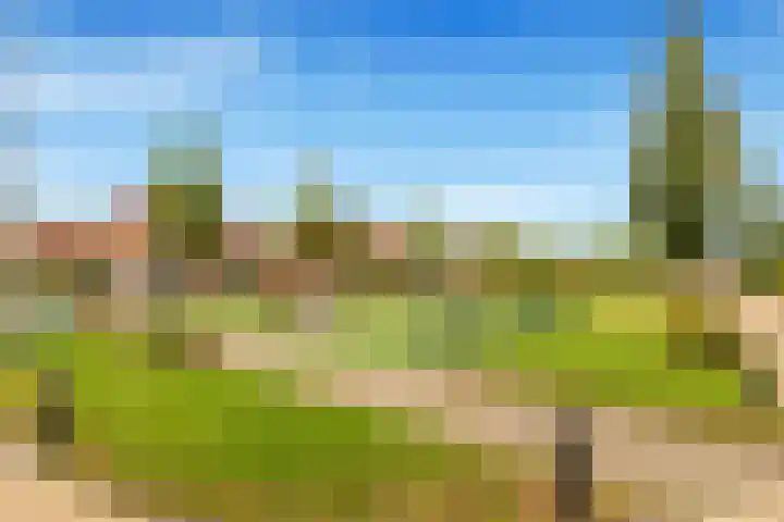 Zwanebloem 12 Limmen thumbnail 51