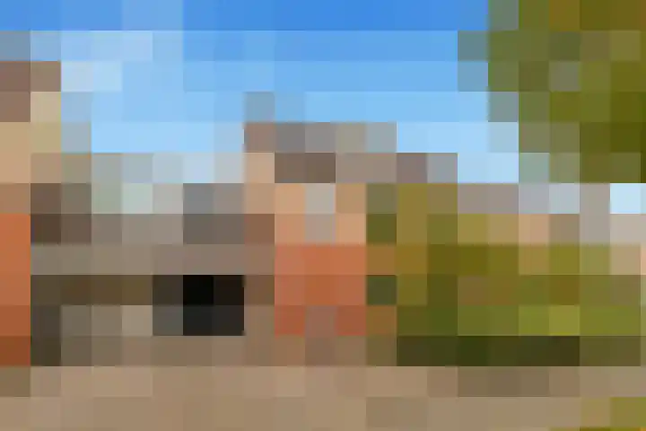 Zwanebloem 12 Limmen thumbnail 6