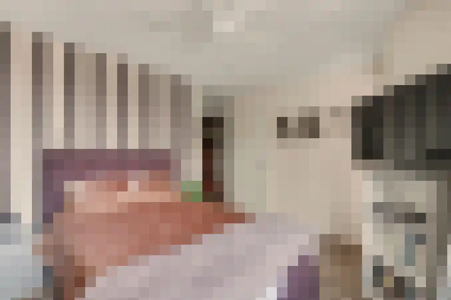 Zwanebloem 14 Reeuwijk thumbnail 17
