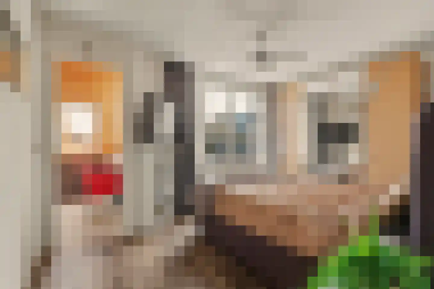 Zwanebloem 14 Reeuwijk thumbnail 19
