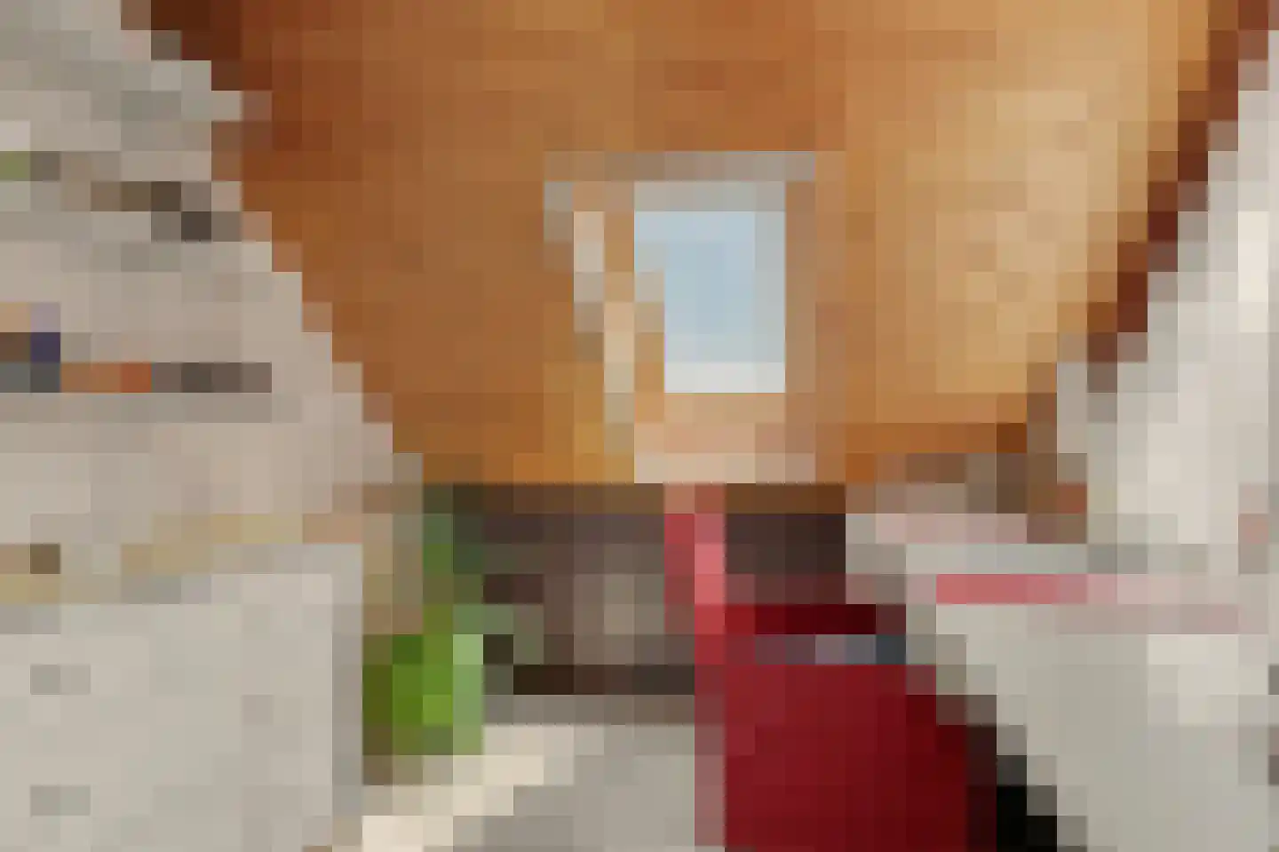Zwanebloem 14 Reeuwijk thumbnail 20