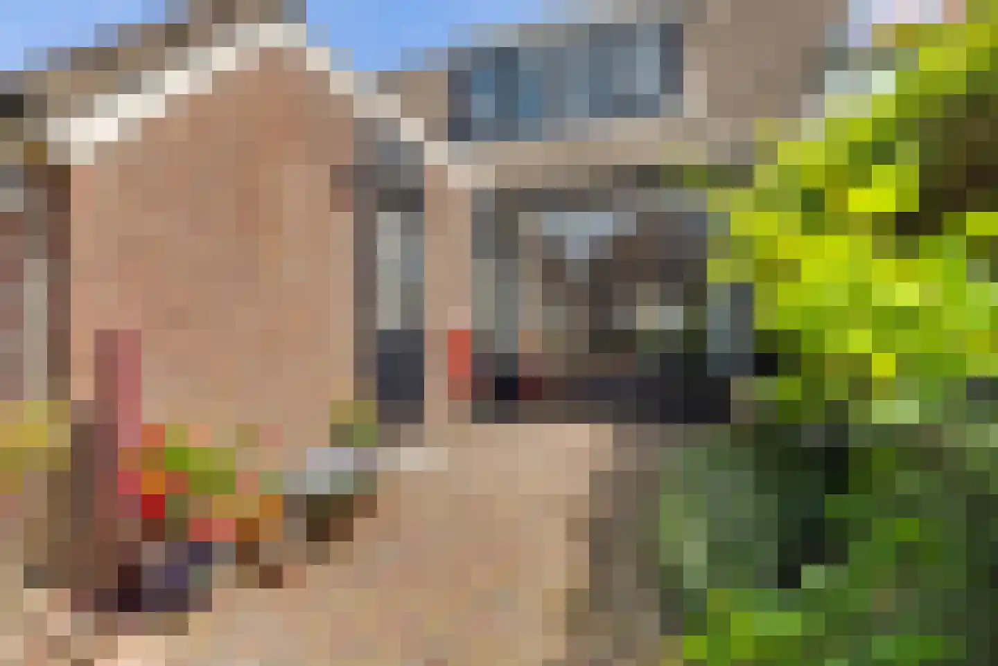Zwanebloem 14 Reeuwijk thumbnail 26