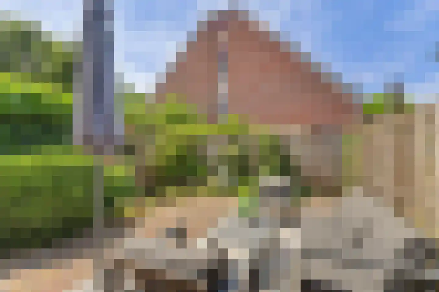 Zwanebloem 14 Reeuwijk thumbnail 28