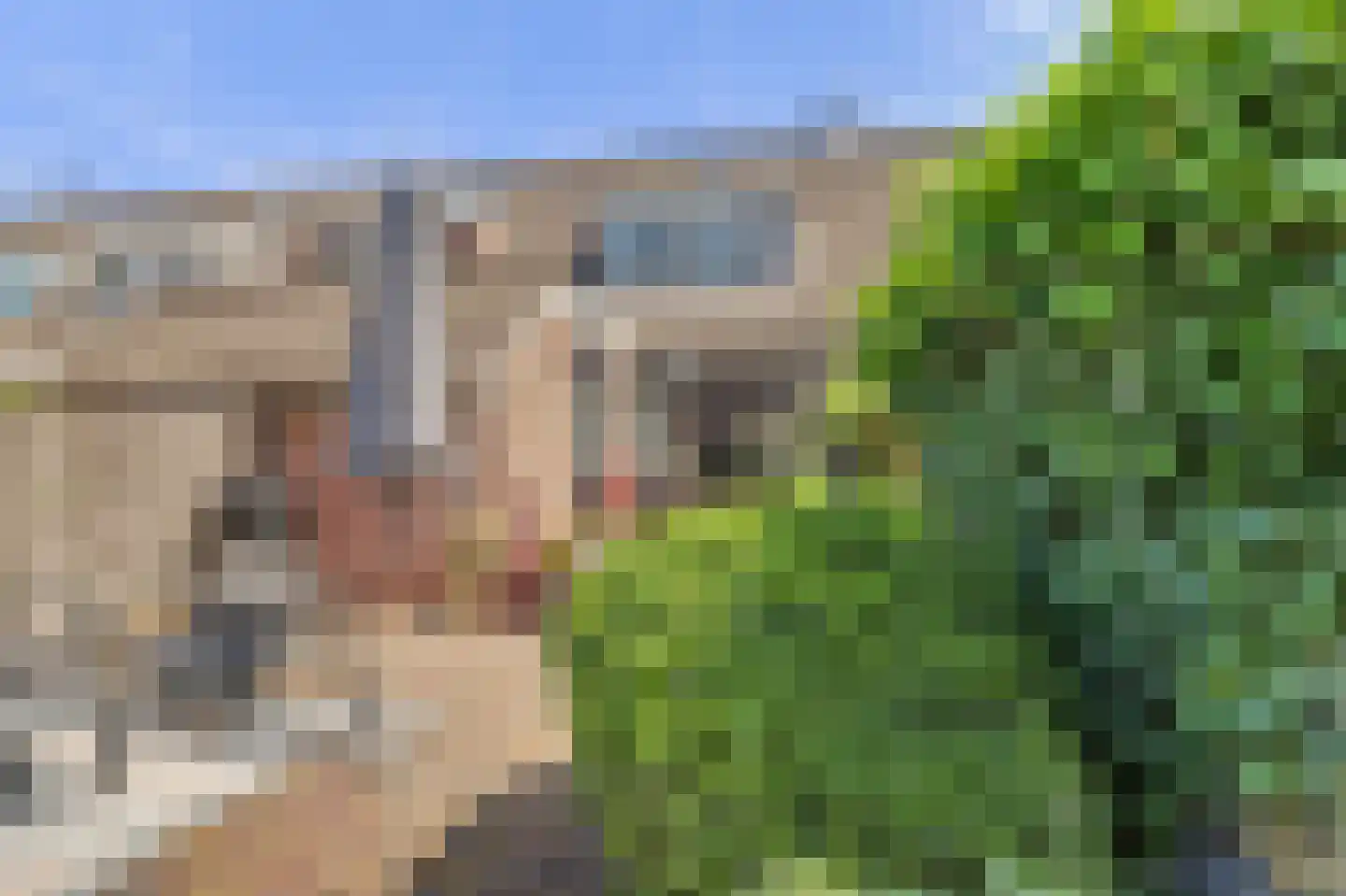 Zwanebloem 14 Reeuwijk thumbnail 30