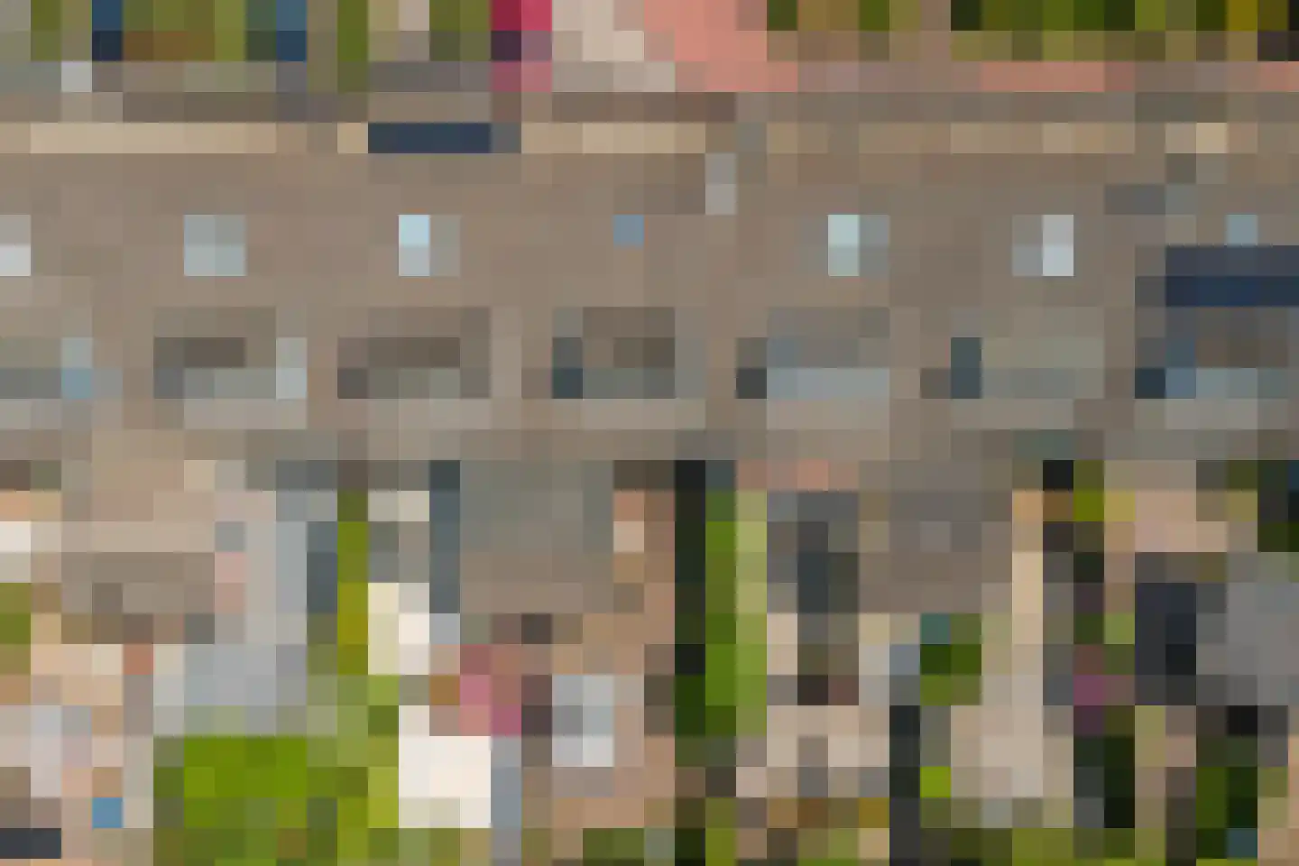 Zwanebloem 14 Reeuwijk thumbnail 31