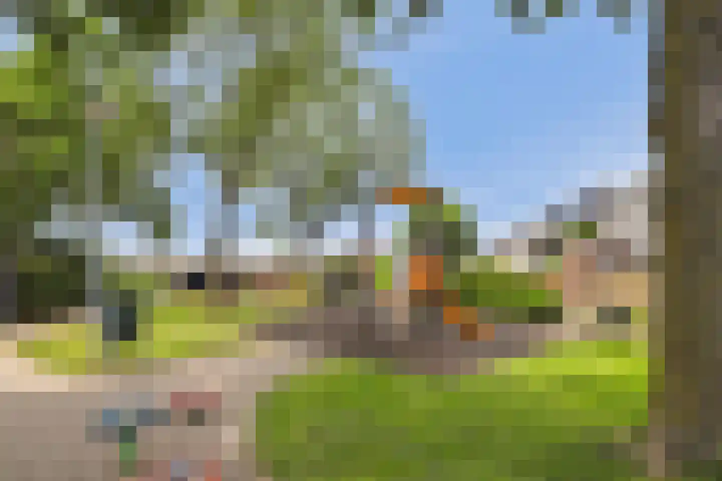 Zwanebloem 14 Reeuwijk thumbnail 33