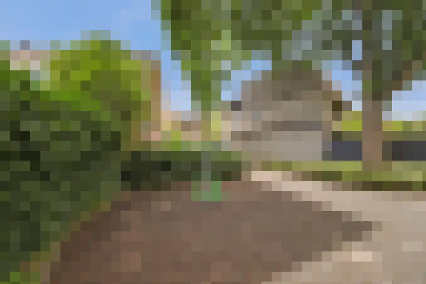 Zwanebloem 14 Reeuwijk thumbnail 34