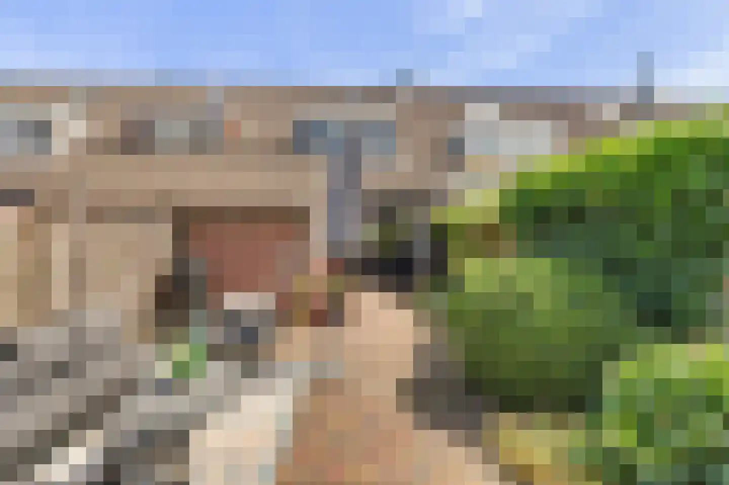 Zwanebloem 14 Reeuwijk thumbnail 5