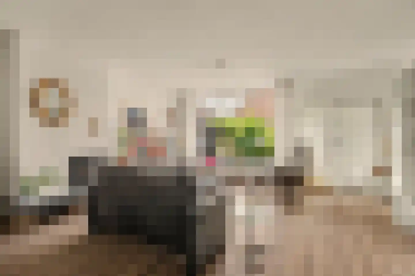 Zwanebloem 14 Reeuwijk thumbnail 8