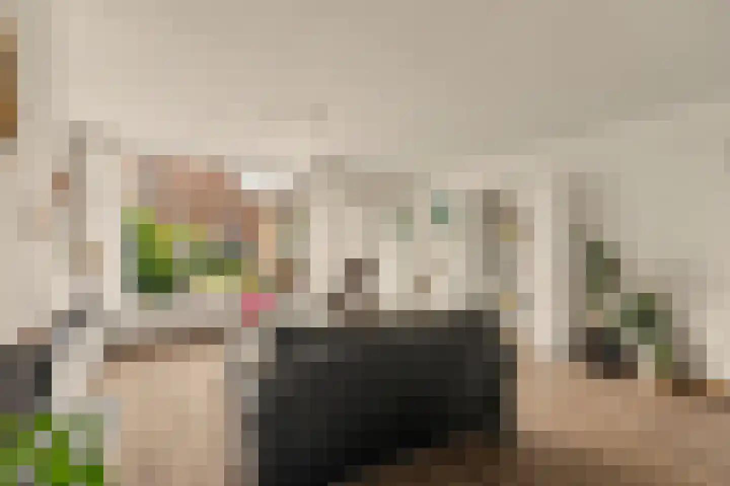Zwanebloem 14 Reeuwijk thumbnail 9