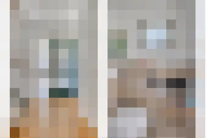 Zwanebloem 14 Swifterbant thumbnail 11