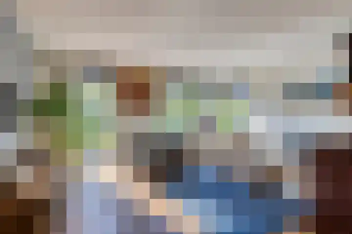 Zwanebloem 14 Swifterbant thumbnail 14