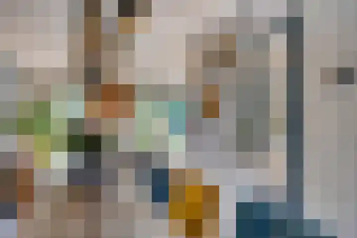 Zwanebloem 14 Swifterbant thumbnail 18