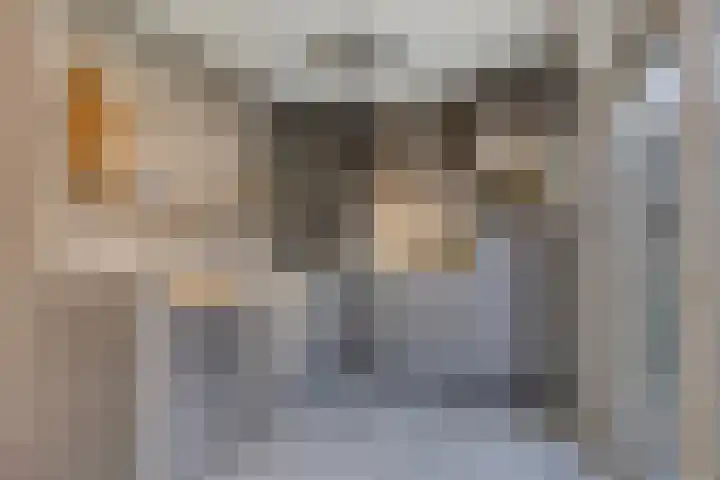 Zwanebloem 14 Swifterbant thumbnail 19