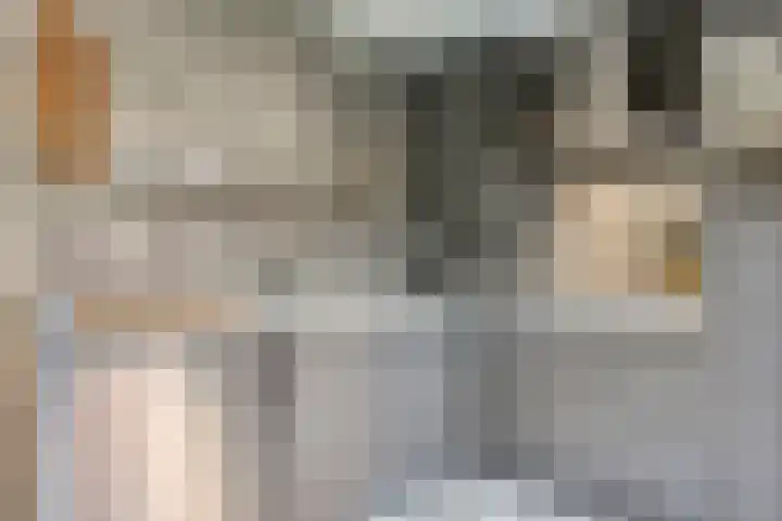 Zwanebloem 14 Swifterbant thumbnail 20