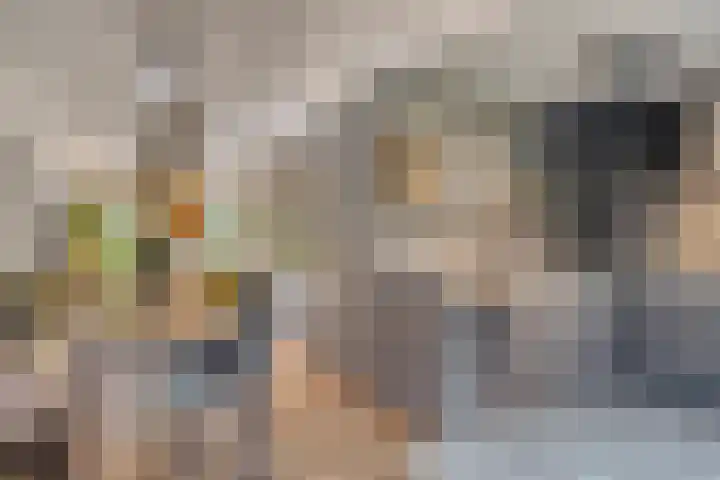 Zwanebloem 14 Swifterbant thumbnail 21