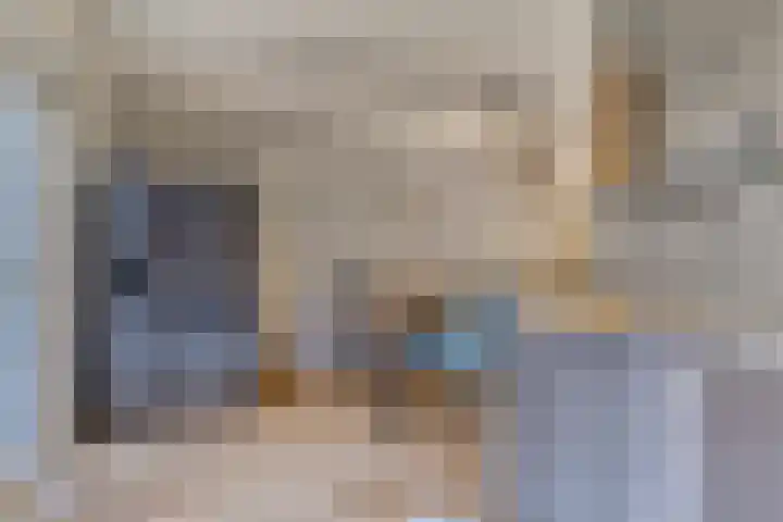 Zwanebloem 14 Swifterbant thumbnail 22