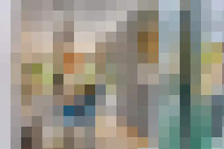 Zwanebloem 14 Swifterbant thumbnail 23