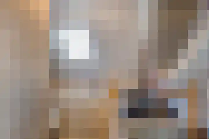 Zwanebloem 14 Swifterbant thumbnail 25