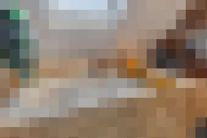 Zwanebloem 14 Swifterbant thumbnail 26