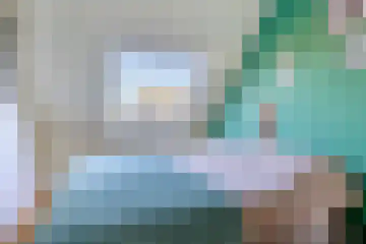 Zwanebloem 14 Swifterbant thumbnail 29