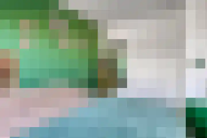 Zwanebloem 14 Swifterbant thumbnail 30