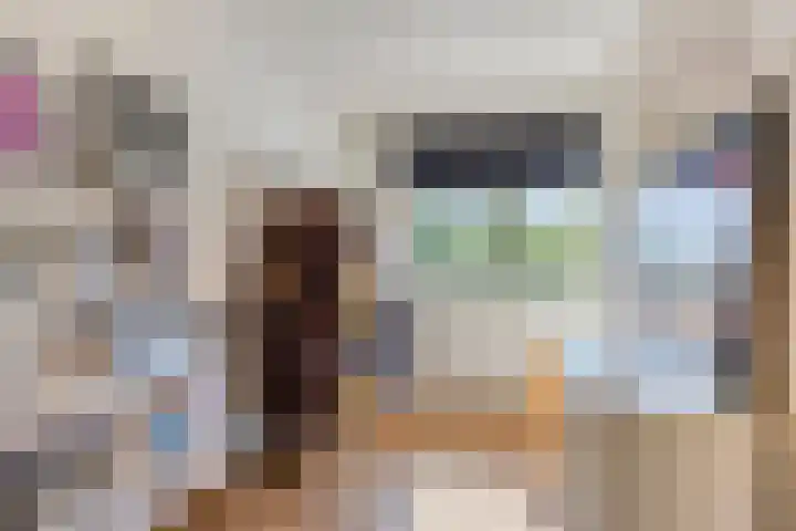 Zwanebloem 14 Swifterbant thumbnail 31