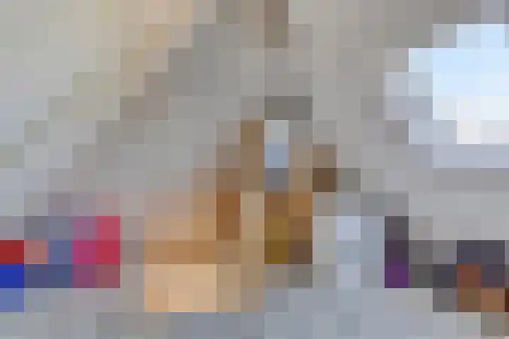 Zwanebloem 14 Swifterbant thumbnail 35