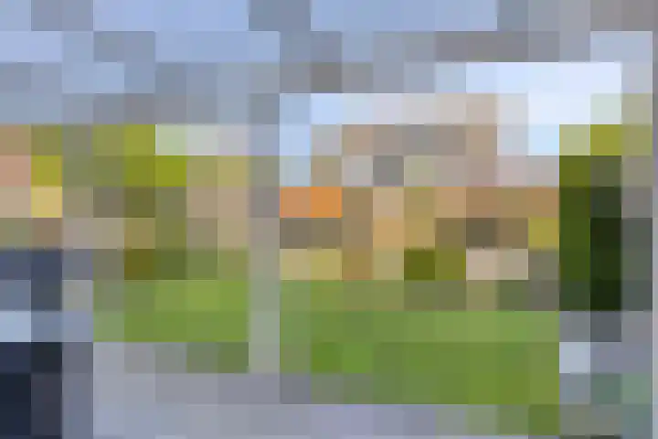 Zwanebloem 14 Swifterbant thumbnail 36