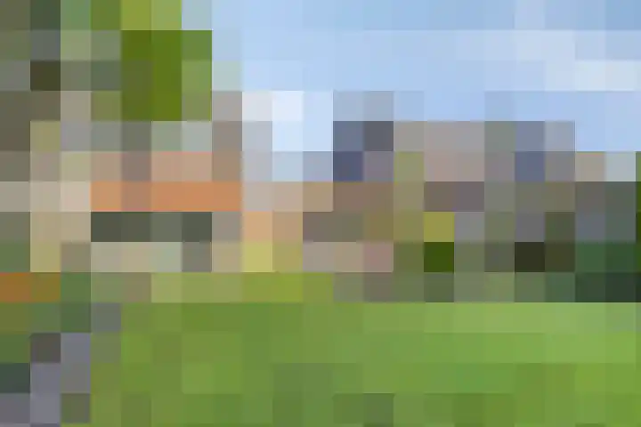 Zwanebloem 14 Swifterbant thumbnail 38
