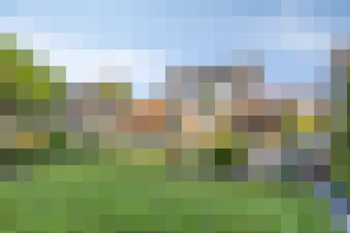 Zwanebloem 14 Swifterbant thumbnail 39