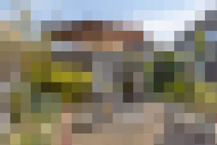 Zwanebloem 14 Swifterbant thumbnail 41
