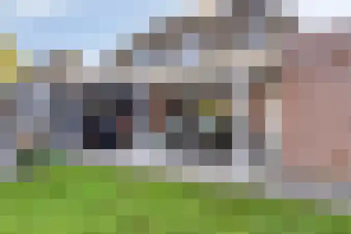 Zwanebloem 14 Swifterbant thumbnail 43