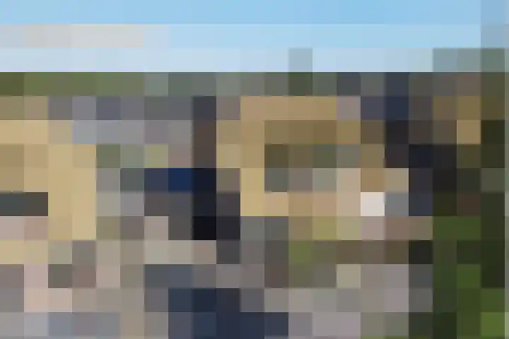 Zwanebloem 14 Swifterbant thumbnail 48