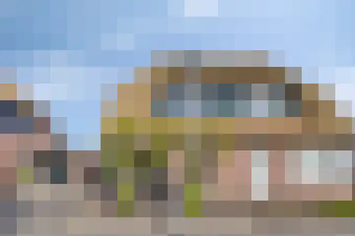 Zwanebloem 14 Swifterbant thumbnail 5