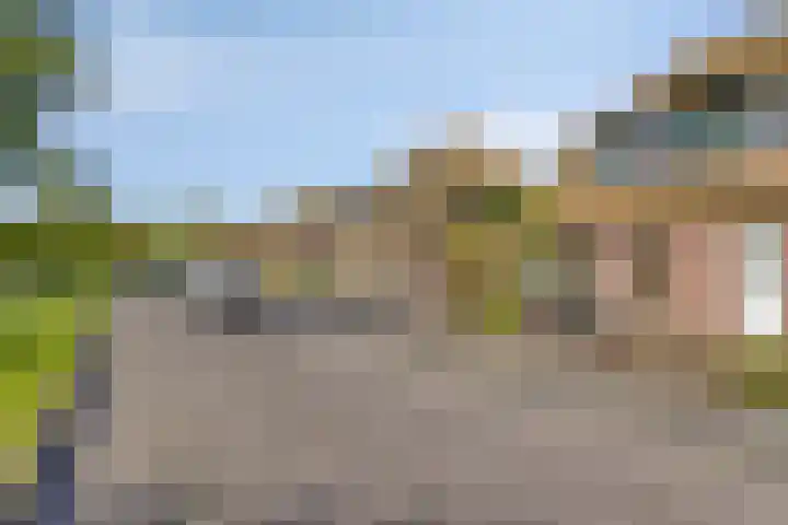 Zwanebloem 14 Swifterbant thumbnail 7