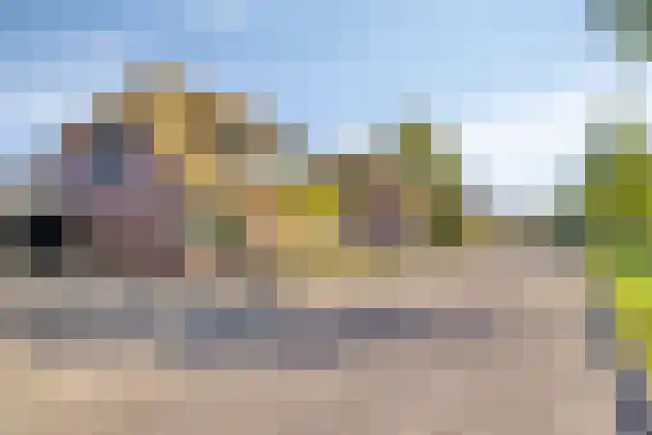 Zwanebloem 14 Swifterbant thumbnail 8
