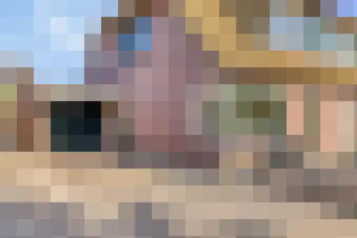 Zwanebloem 14 Swifterbant thumbnail 9